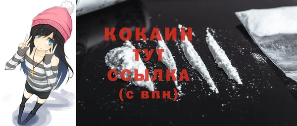 PSILOCYBIN Богданович