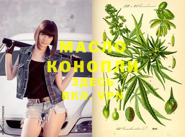 молекула духа Бронницы