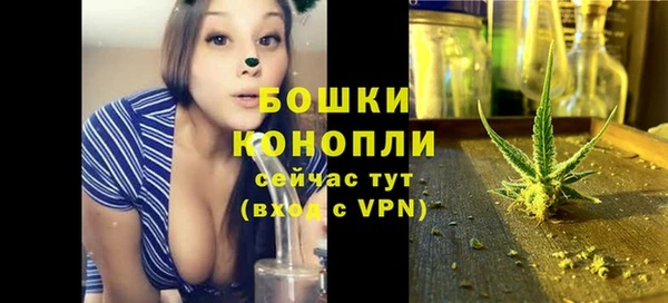 PSILOCYBIN Богородск