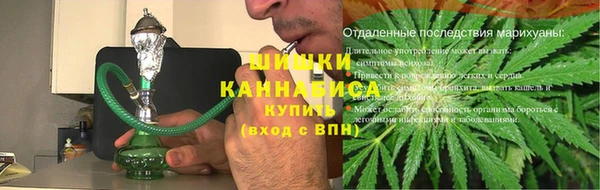 PSILOCYBIN Богданович