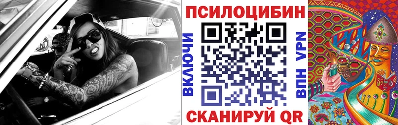 купить закладку  Кизляр  Псилоцибиновые грибы Psilocybine cubensis 